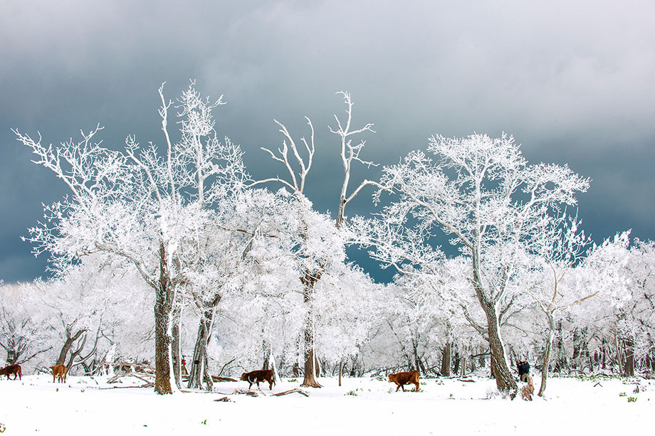 冬y四方顶子——李忠辉 (32).jpg