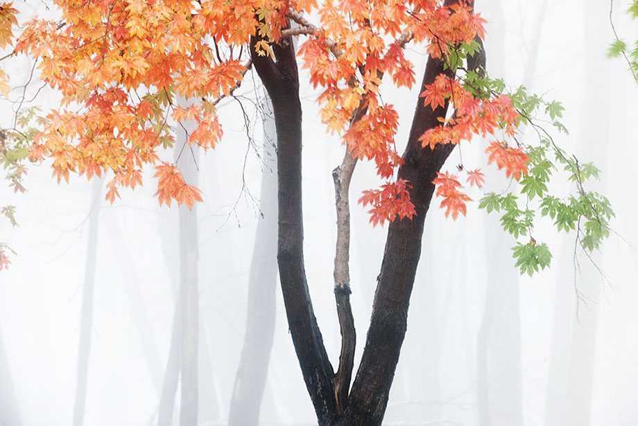 秋y四方顶子——李忠辉 (74).jpg